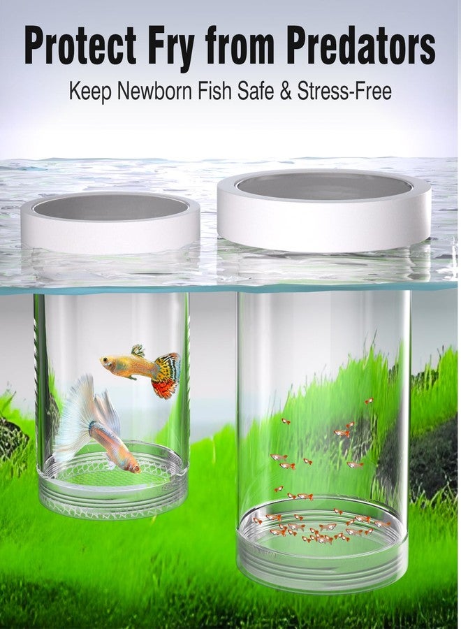FKSC Floating Breeder Box for Fish Tank - Aquarium Isolation Separator Hatchery Incubator for Guppy, Betta, Clownfish, Coral, Baby & Injured Fish - Image 5